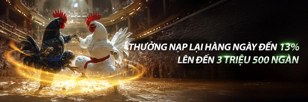 Đá gà trực tuyến Rio66 - Sân đấu kịch tính và hấp dẫn bậc nhất Việt Nam