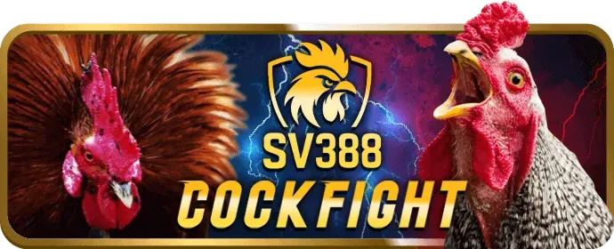 Chương trình khuyến mãi rio66 hấp dẫn dành cho game thủ yêu thích đá gà